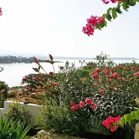 Appartement Michalis Studio *